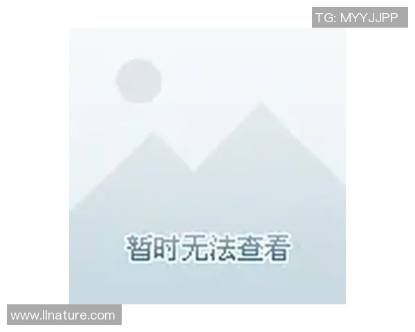 体验一流足球明星游戏的激情与挑战,尽享足球盛宴的乐趣与精彩